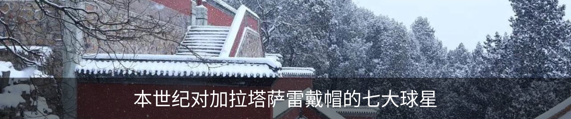 最新动态